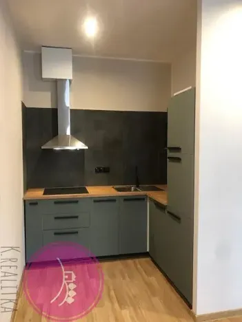 Pronájem bytu 2+kk, Olomouc, Švédská, 39 m2