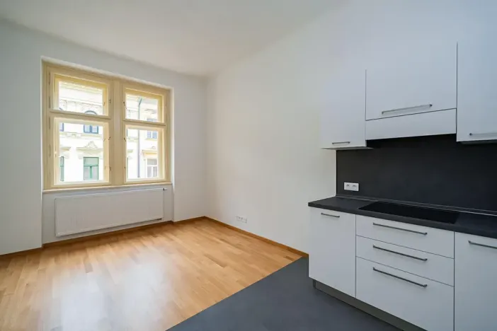 Pronájem bytu 2+kk, Praha - Bubeneč, Kamenická, 52 m2