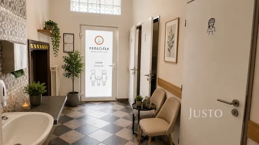 Pronájem restaurace, Písek, Sedláčkova, 110 m2