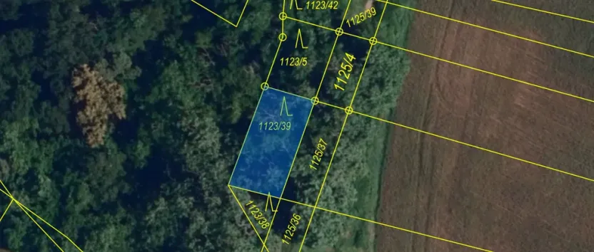 Prodej lesa, Silůvky, 114 m2