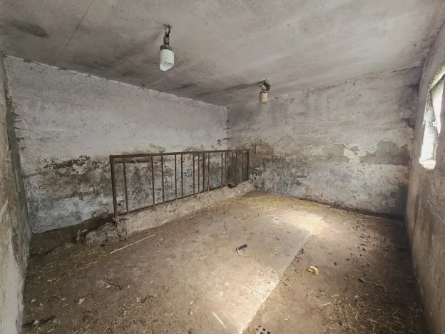Prodej rodinného domu, Stará Ves, 300 m2