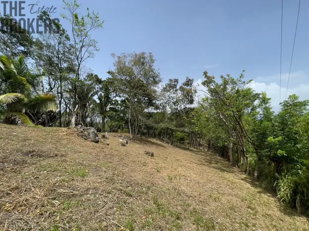 Prodej pozemku, Coxen Hole, Roatán, Honduras, 1884 m2