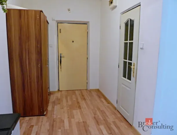 Prodej bytu 2+1, Bílina - Teplické Předměstí, M. Švabinského, 54 m2