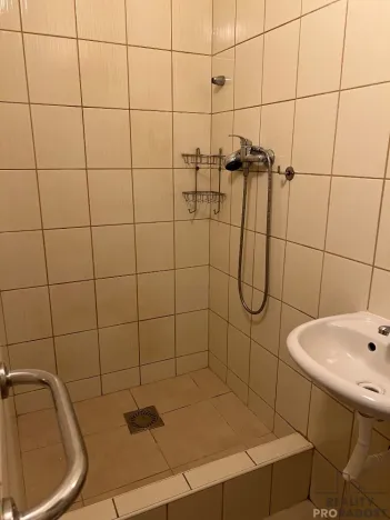 Prodej rodinného domu, Chabařovice, V Aleji, 280 m2