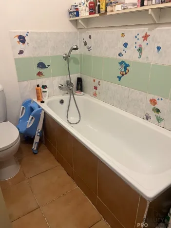 Prodej rodinného domu, Chabařovice, V Aleji, 280 m2