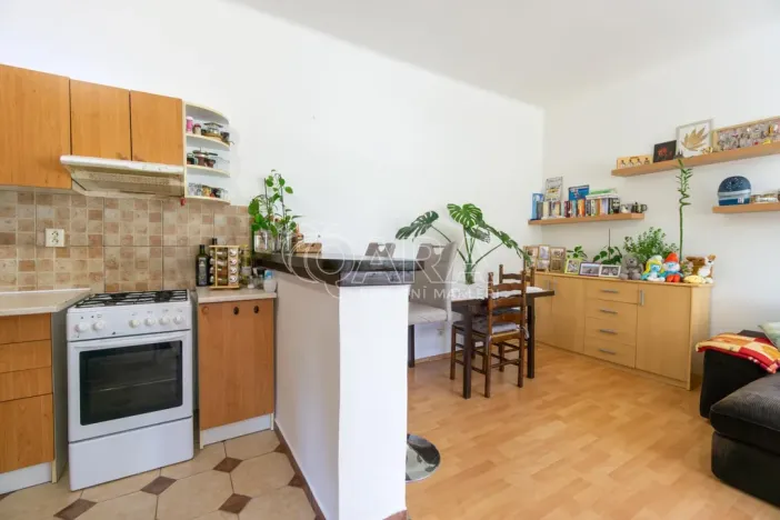 Prodej bytu 2+kk, Praha - Holešovice, Jankovcova, 44 m2