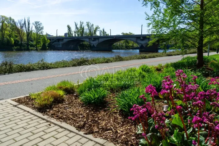 Prodej bytu 2+kk, Praha - Holešovice, Jankovcova, 44 m2