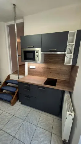 Pronájem bytu 1+kk, České Budějovice, Jírovcova, 28 m2