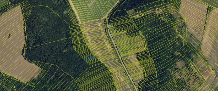 Prodej lesa, Silůvky, 521 m2
