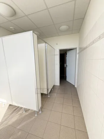 Pronájem kanceláře, České Budějovice - České Budějovice 3, K. Světlé, 70 m2