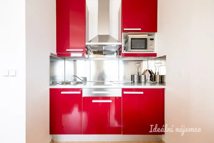 Pronájem bytu 1+kk, Praha - Záběhlice, Ve slatinách, 30 m2