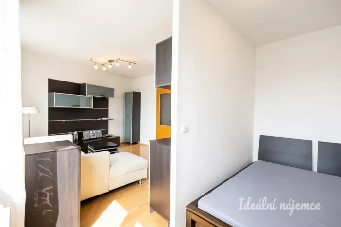 Pronájem bytu 1+kk, Praha - Záběhlice, Ve slatinách, 30 m2