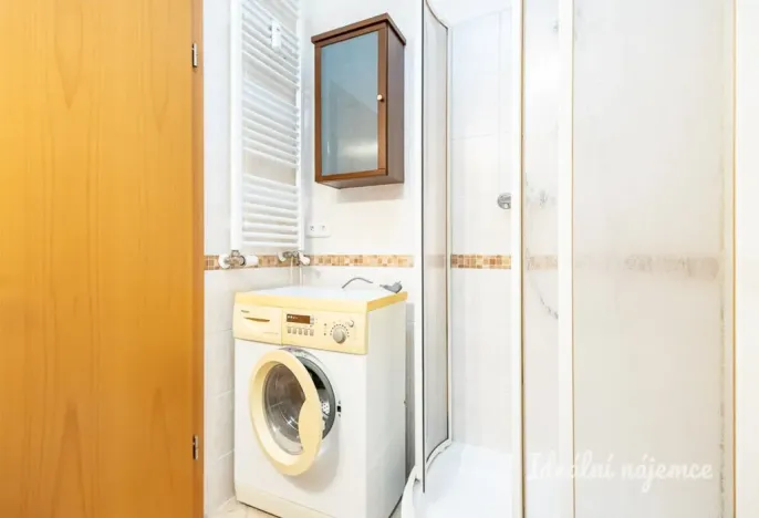 Pronájem bytu 1+kk, Praha - Záběhlice, Ve slatinách, 30 m2