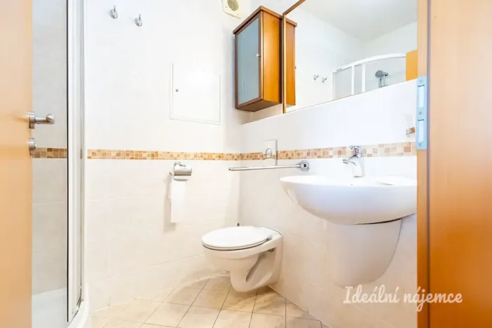 Pronájem bytu 1+kk, Praha - Záběhlice, Ve slatinách, 30 m2