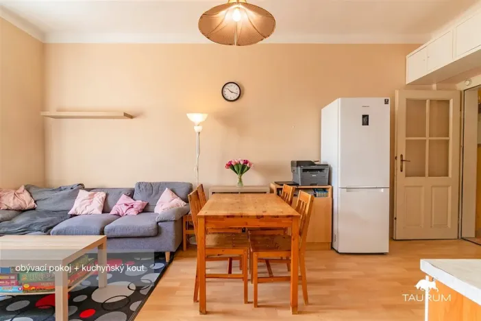 Prodej bytu 2+kk, Plzeň - Jižní Předměstí, Edvarda Beneše, 50 m2