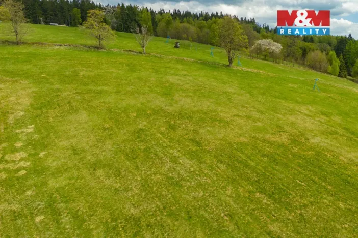 Prodej louky, Albrechtice v Jizerských horách, 13478 m2