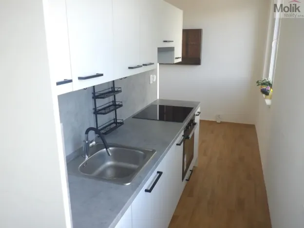 Prodej bytu 2+1, Chomutov, Bezručova, 59 m2