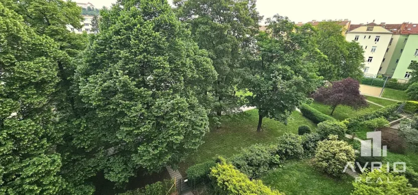 Pronájem bytu 3+1, Brno, Poříčí, 76 m2