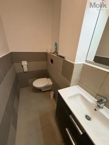 Prodej pokoje, Most, Průjezdná, 129 m2