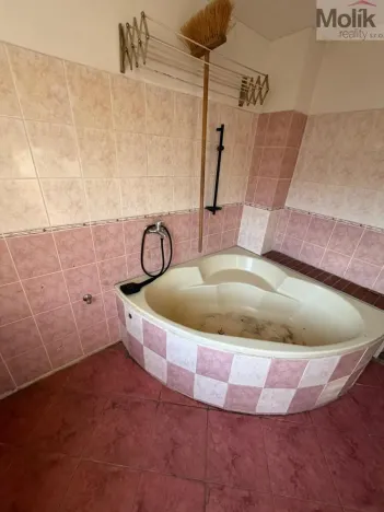 Prodej pokoje, Most, Průjezdná, 129 m2
