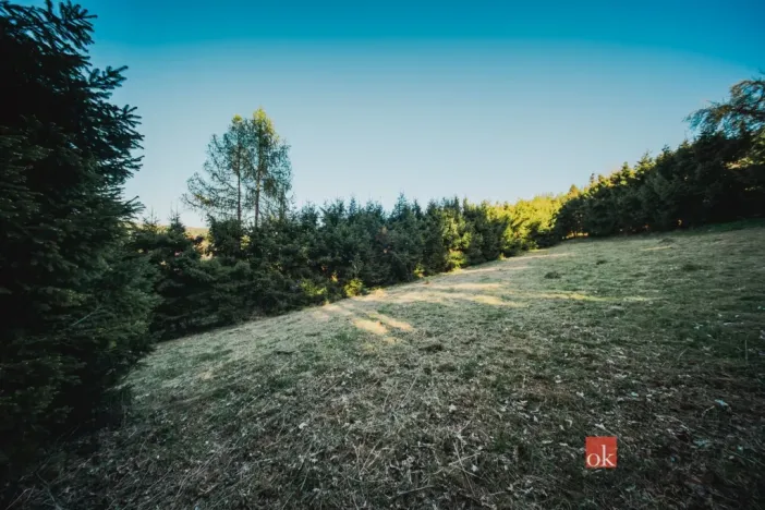 Prodej pozemku pro bydlení, Sušice, 1284 m2