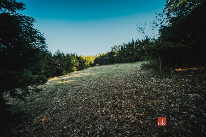Prodej pozemku pro bydlení, Sušice, 1284 m2
