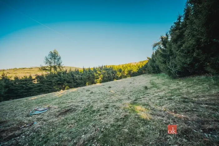 Prodej pozemku pro bydlení, Sušice, 1284 m2