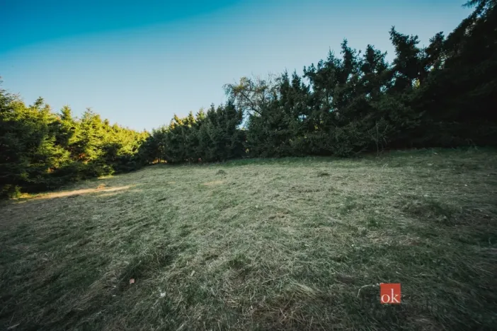 Prodej pozemku pro bydlení, Sušice, 1284 m2