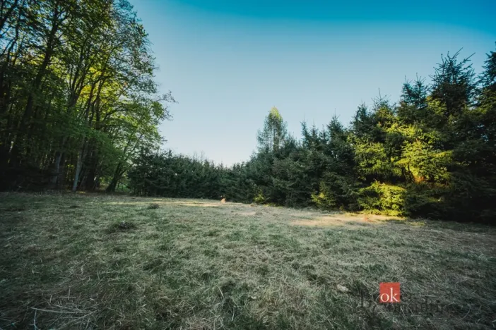 Prodej pozemku pro bydlení, Sušice, 1284 m2