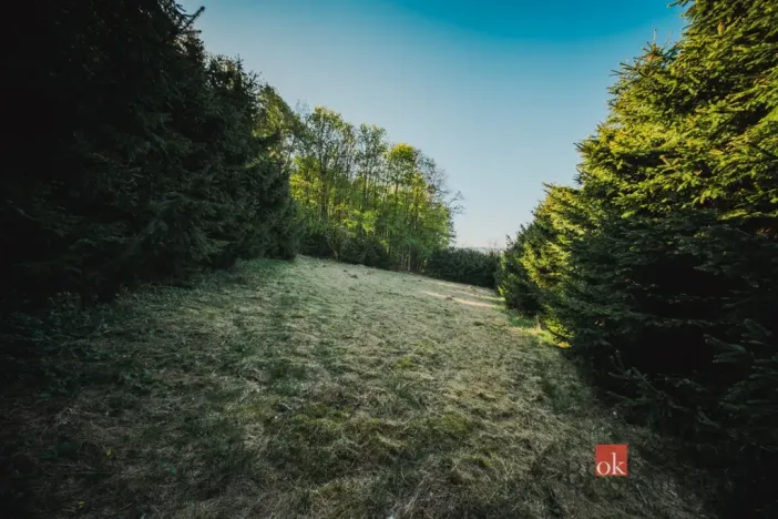Prodej pozemku pro bydlení, Sušice, 1284 m2