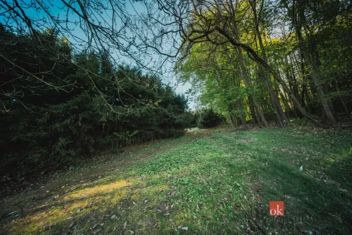 Prodej pozemku pro bydlení, Sušice, 1284 m2