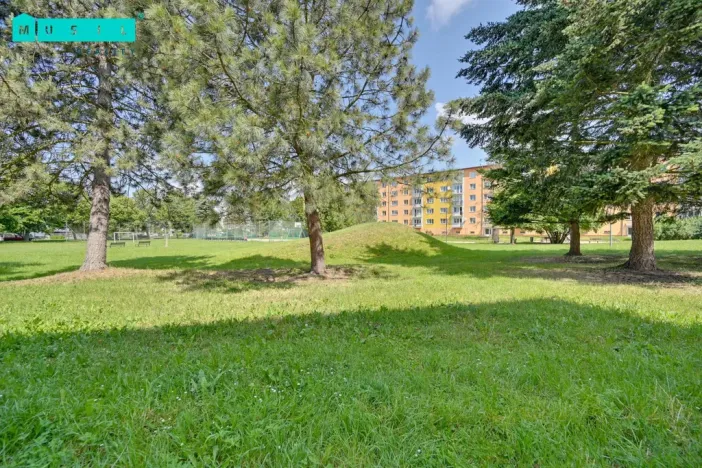 Pronájem bytu 1+1, Uničov, Nová, 38 m2