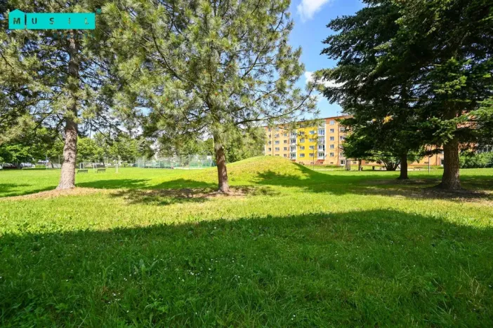 Pronájem bytu 1+1, Uničov, Nová, 38 m2
