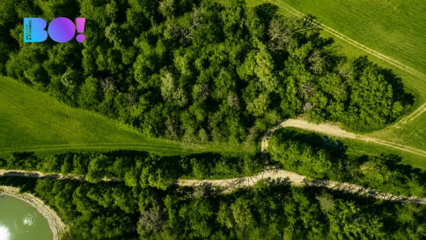 Prodej pozemku, Zástřizly, 512 m2