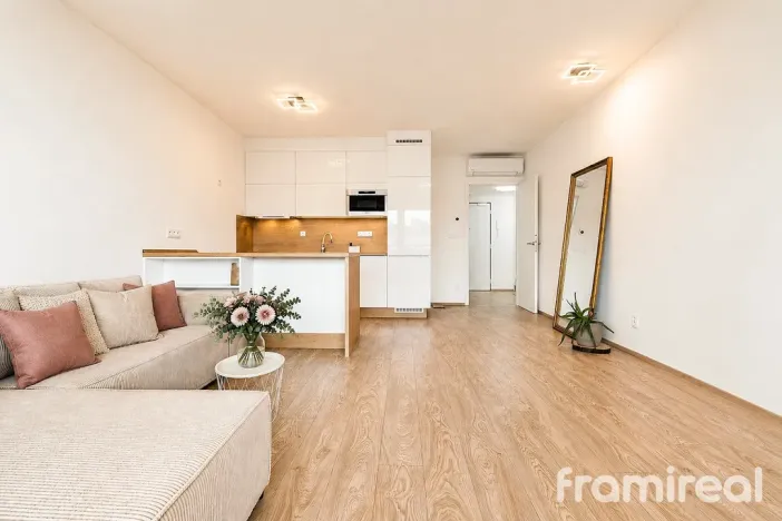 Pronájem bytu 2+kk, Brno - Zábrdovice, Bratislavská, 65 m2