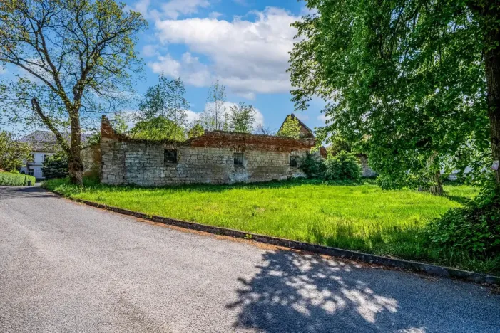 Prodej historického objektu, Velké Všelisy, 4000 m2