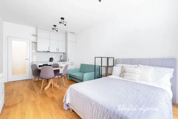 Pronájem bytu 1+kk, Praha - Holešovice, U průhonu, 31 m2