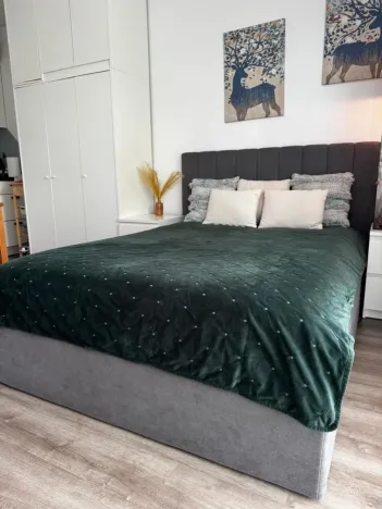 Pronájem bytu 1+kk, Mělník, U Potoka, 32 m2