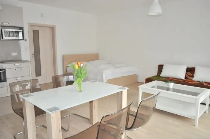 Pronájem bytu 1+kk, Praha - Žižkov, Olšanská, 40 m2