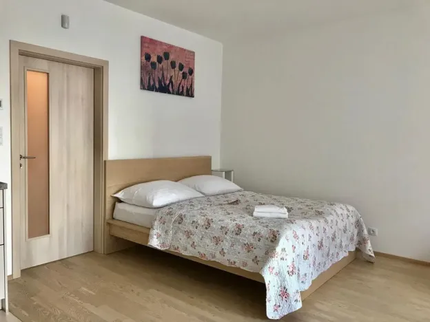 Pronájem bytu 1+kk, Praha - Žižkov, Olšanská, 40 m2