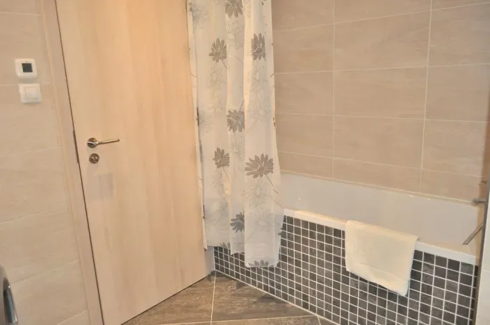 Pronájem bytu 1+kk, Praha - Žižkov, Olšanská, 40 m2