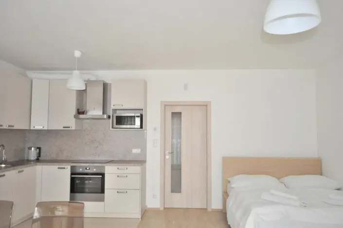 Pronájem bytu 1+kk, Praha - Žižkov, Olšanská, 40 m2