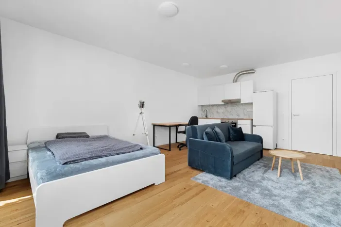 Prodej bytu 1+kk, Brno - Zábrdovice, Bratislavská, 38 m2