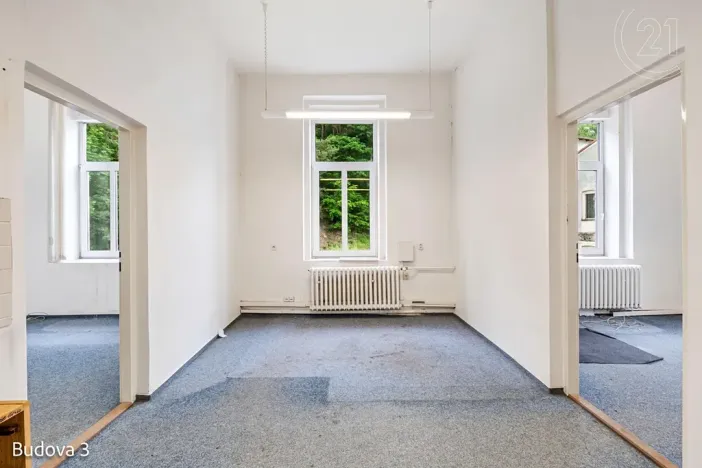 Pronájem komerční nemovitosti, Děčín, Rudolfova, 5199 m2