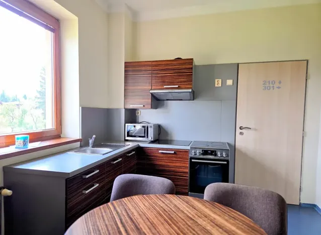 Prodej ubytování, Třinec, Husova, 360 m2