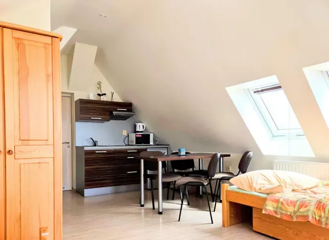 Prodej ubytování, Třinec, Husova, 360 m2