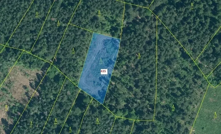 Dražba lesa, Dražovice, 2482 m2