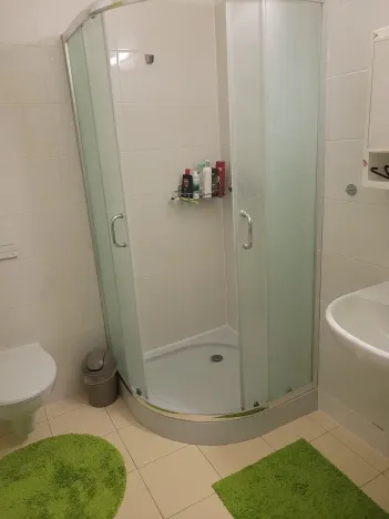 Pronájem bytu 1+kk, Brno, Vídeňská, 30 m2