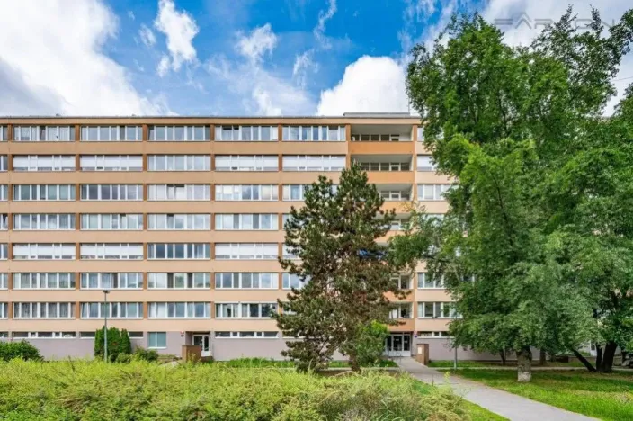 Prodej bytu 2+1, Praha - Karlín, Nekvasilova, 42 m2