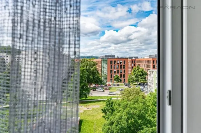 Prodej bytu 2+1, Praha - Karlín, Nekvasilova, 42 m2